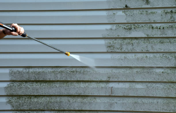 Best Roof Cleaning and Mildew Removal in Lake Camelot, WI
