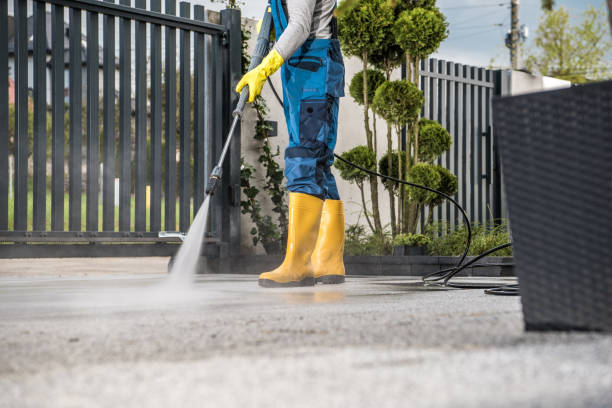 Best Fence Cleaning and Maintenance in Lake Camelot, WI