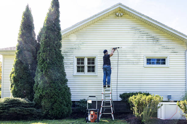 Best Driveway Cleaning and Restoration in Lake Camelot, WI